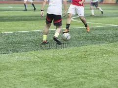 勒沃库森德,甲击败波鸿,新葡京娱乐app,新葡京娱乐场,澳门新葡京娱乐APP,新葡京app下载地址