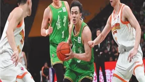 “世界非物质文化遗产：揭秘古木拱桥的智慧瑰宝”