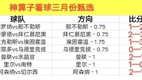 埃及外交部坚决抵制加沙接管方案，违背现有共识。